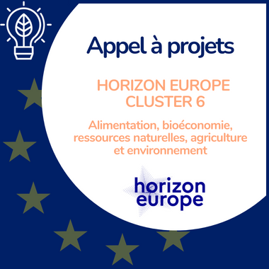 Miniature web – Horizon Europe Cluster 6