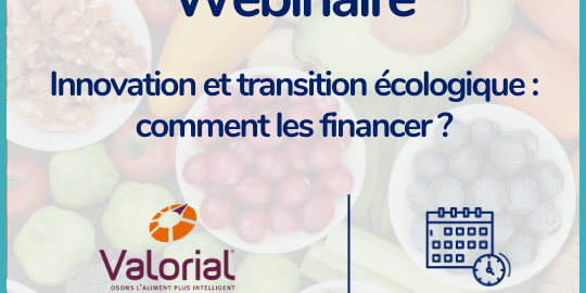 Webinaire : Innovation et transition écologique : comment les financer ?