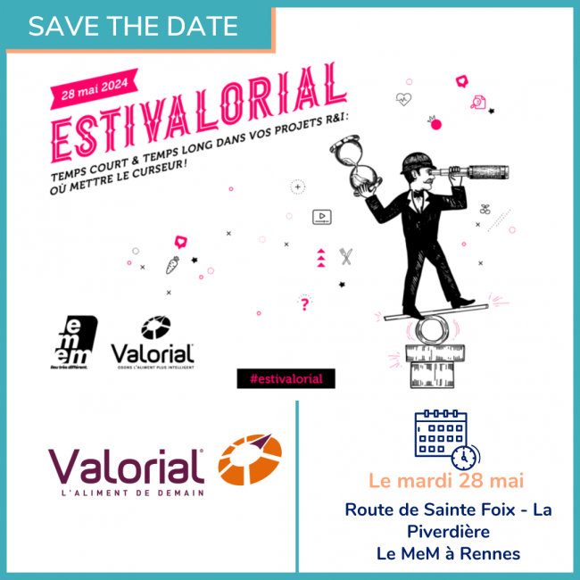 D&Consultants à l’Estivalorial 2024 D&Consultants à l'Estivalorial 2024