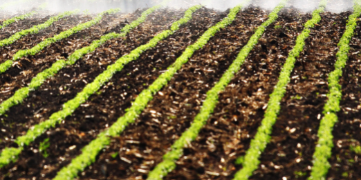 EIC Accelerator : Accompagnement de Pertinent Eco-Solutions à sa candidature au dispositif pour une agriculture résiliente EIC Accelerator : Accompagnement de Pertinent Eco-Solutions à sa candidature au dispositif pour une agriculture résiliente